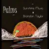 Sunshine Music - Palms (feat. Brandon Taylor) - Single